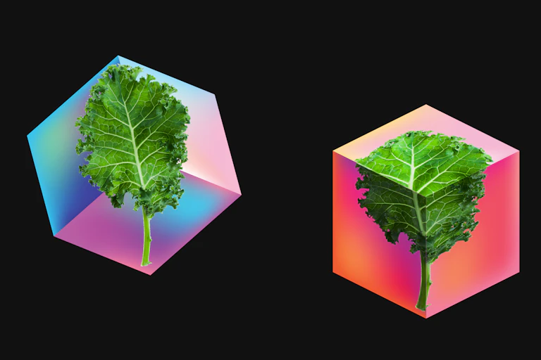 An image of kale over two cubes – the first fl