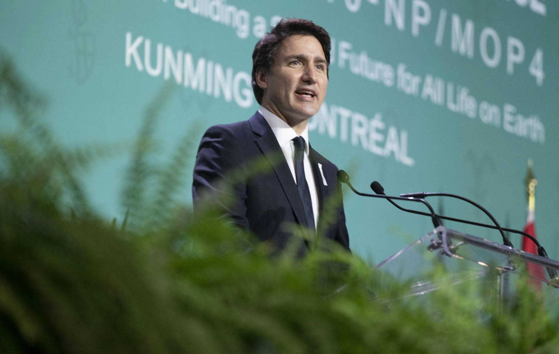 A man in a suit at a podium