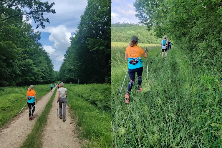 personnes qui randonnent sur un chemin dans la nature