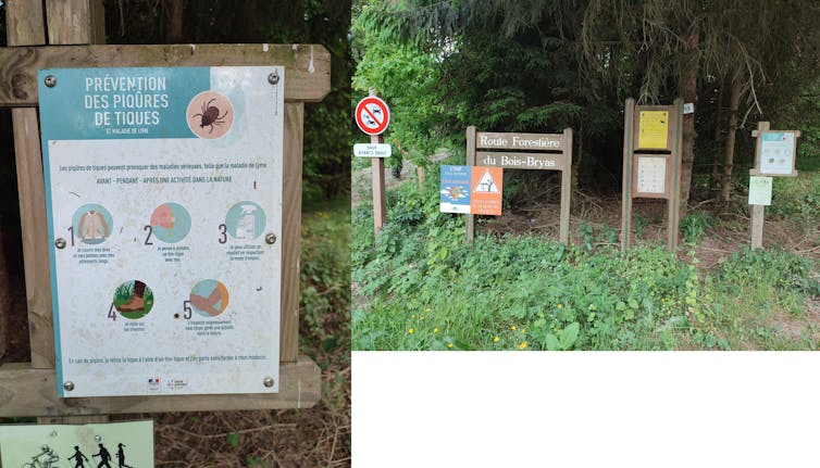 panneaux explicatifs dans une forêt
