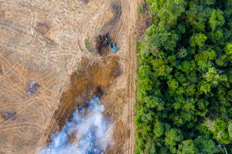 Aerial shot of rainforest and deforested land