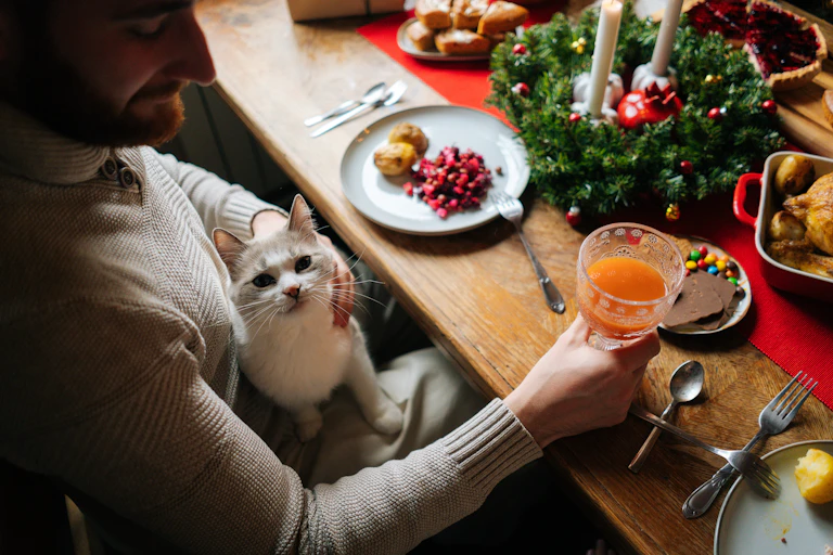 Un chat assis sur les genoux d'un homme, à côté d'une table rempli de victuailles