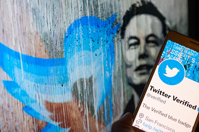 in the foreground hand holding a smart phone, in the background a color painting of a cartoon bird and a black-and-white painting of the man's face on a rough surface