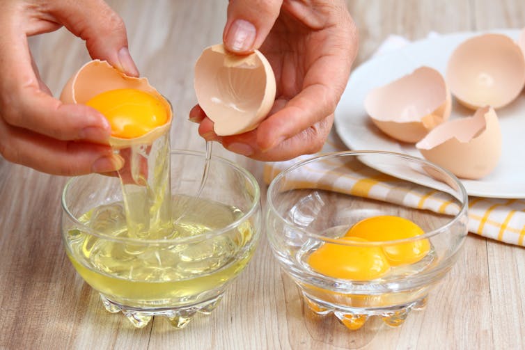 Close-up view of someone separating egg white from yolks in two small glass bowls.