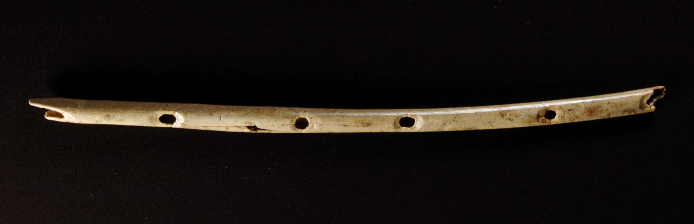 Кости музыкальный инструмент. Костяная флейта неандертальцев. Древние музыкальные инструменты. Древняя флейта. Первая флейта.