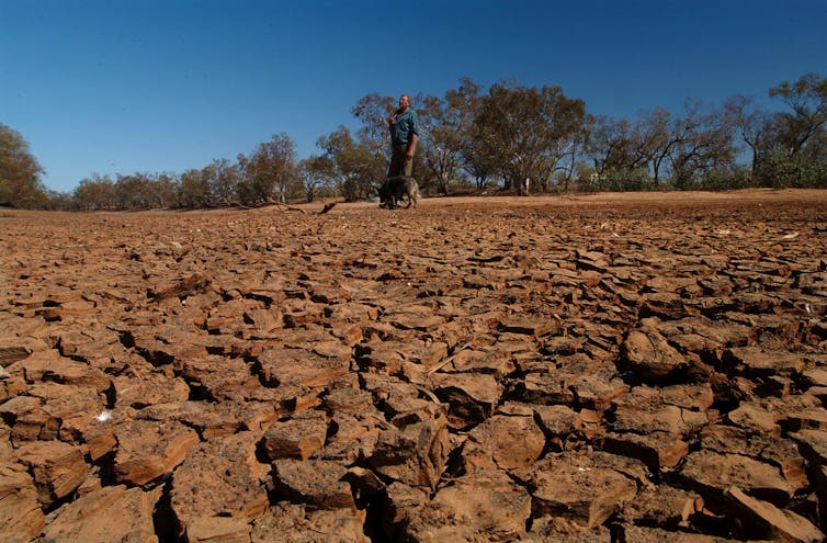man stands on dry, cracked earth