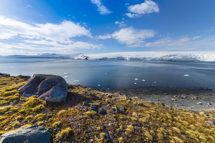 Antactic scene overlooking water