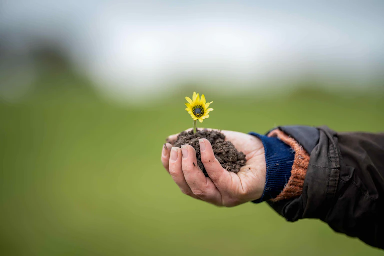 Mano sosteniendo un pedazo de suelo con una flor.