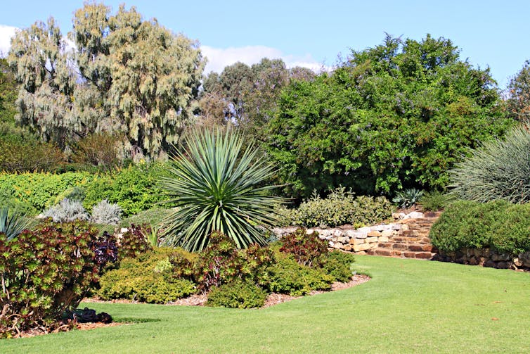 manicured grass and garden