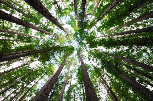 How can the law account for the value of natural places?