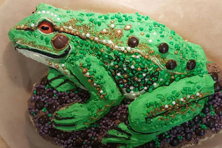 A cake in the shape of a frog