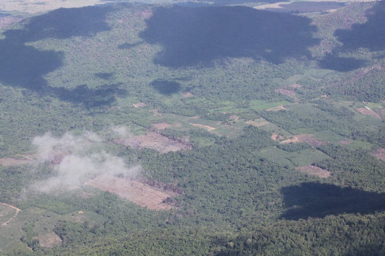 Déforestation au Brésil : la législation européenne peut-elle changer la donne ?