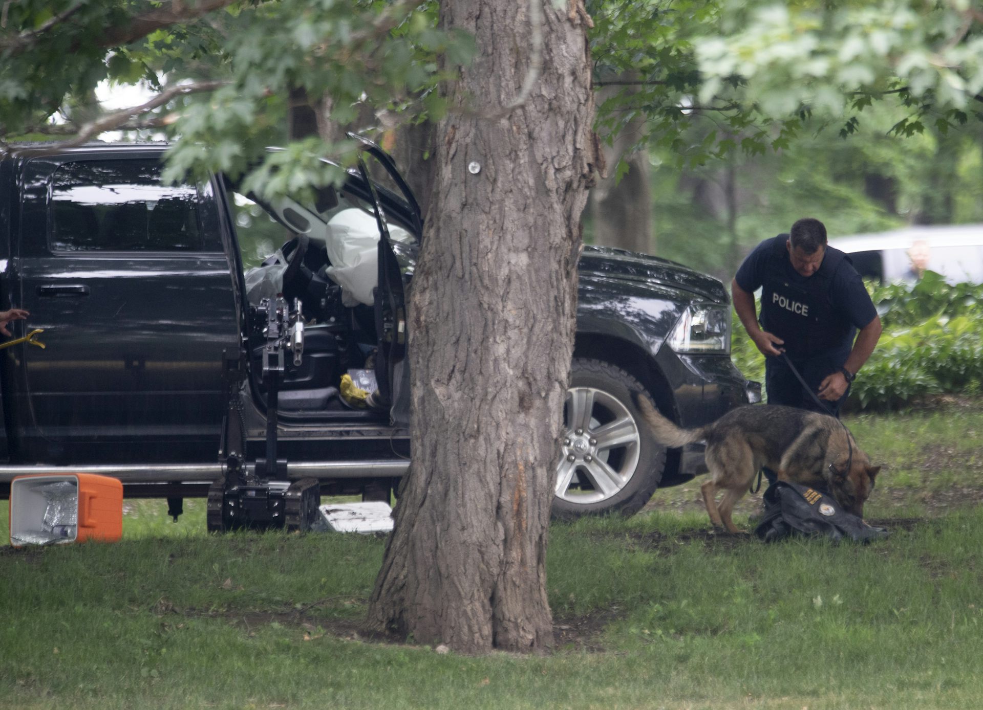 A police officer and a police dog examine a pickup truck seen behind a large tree.
