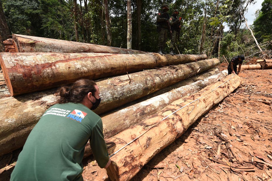 Inspection d'une récolte de bois dans le nord du Brésil