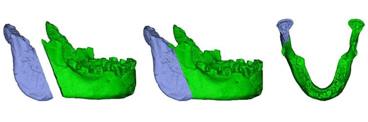 Three side-by-side digital reconstructions of the Banyoles mandible, from side and above.