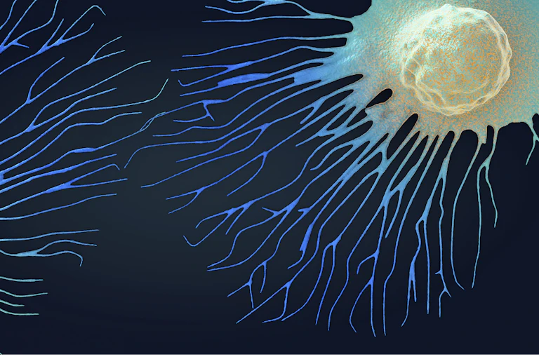 Illustration of two cancer cells spreading