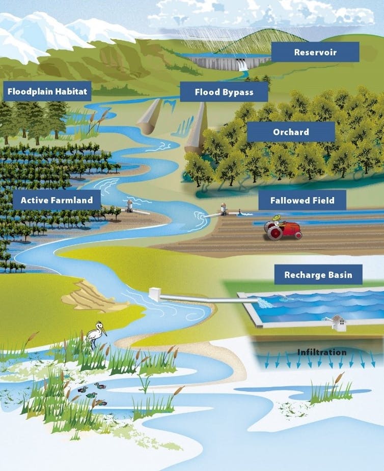 Illustration showing different techniques with fields flooded in different ways