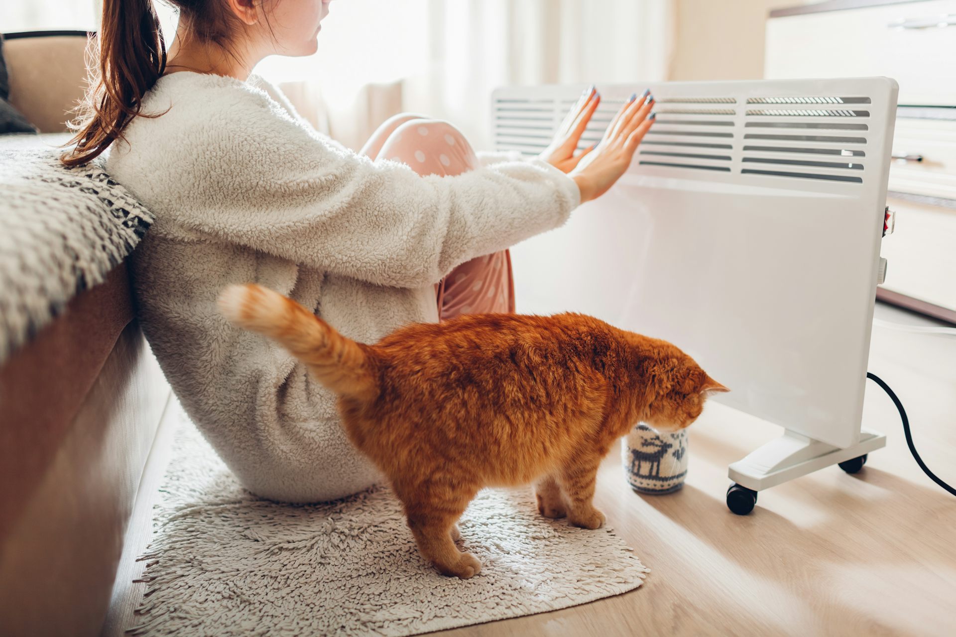 Woman warming her hands with cat next to space heater