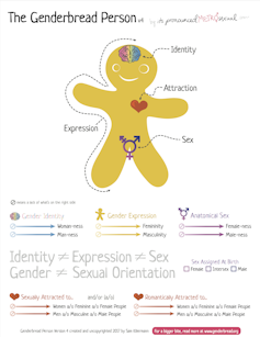 Quelles différences entre sexe, identité, expression du genre et orientation sexuelle ?