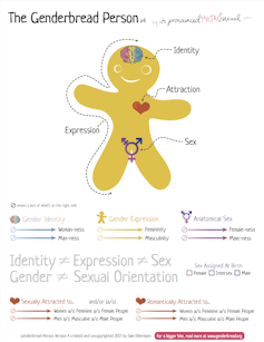 Quelles différences entre sexe, identité, expression du genre et orientation sexuelle ?