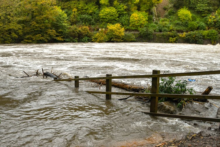 A fence submerged in a flooded river.