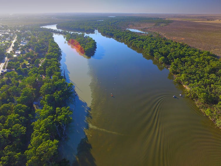 An aerial shot of a river lined with trees.