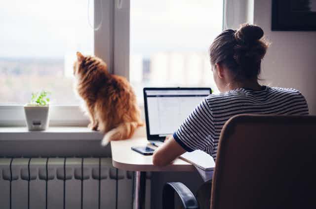 jeune femme travaille sur son ordinateur et son chat regarde par la fenêtre