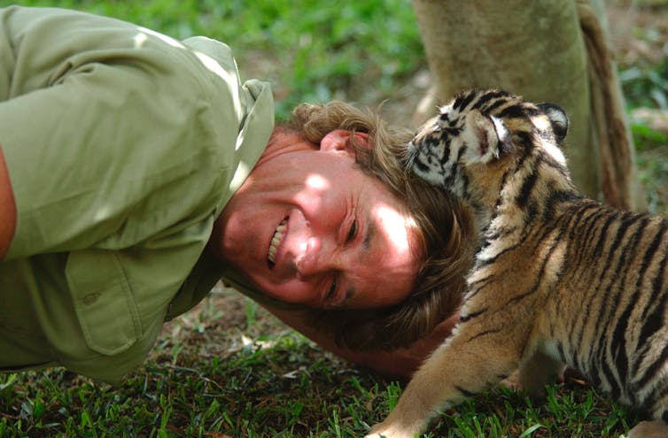 Steve Irwin plays with a tiger cub