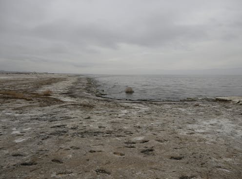 Human actions created the Salton Sea, California's largest lake – here's how to save it from collapse, protecting wild birds and human health