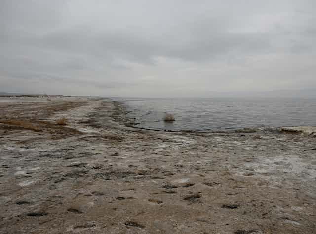 Dusty shoreline with salt crustings along the edge of a large lake.