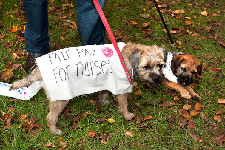 Dog with a sign saying fair pay for nurses