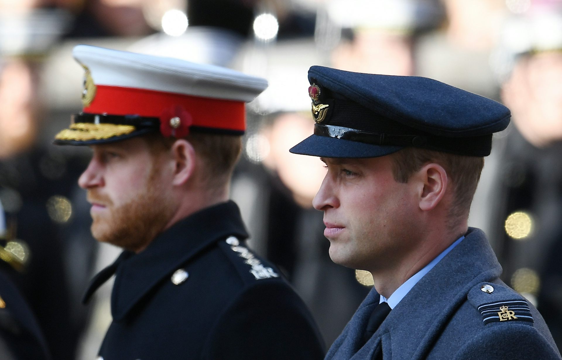 Side profile photo of Princes Harry and William in military dress.