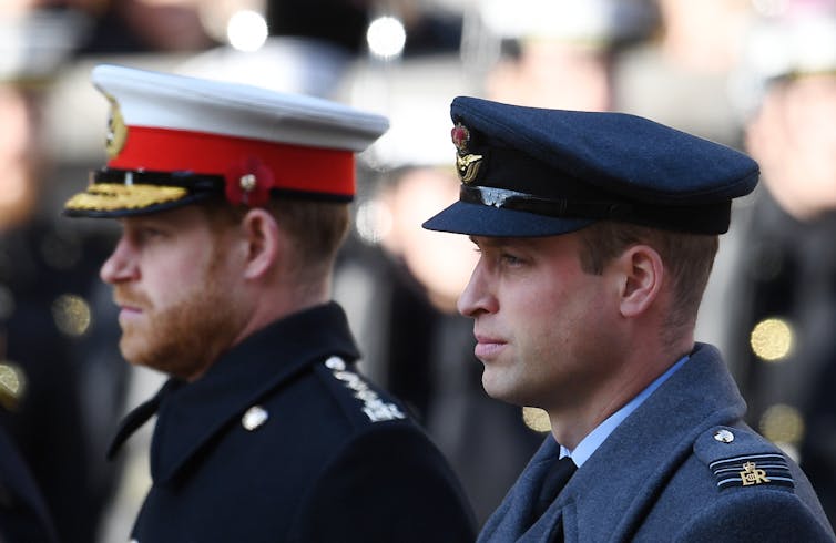 Side profile photo of Princes Harry and William in military dress.