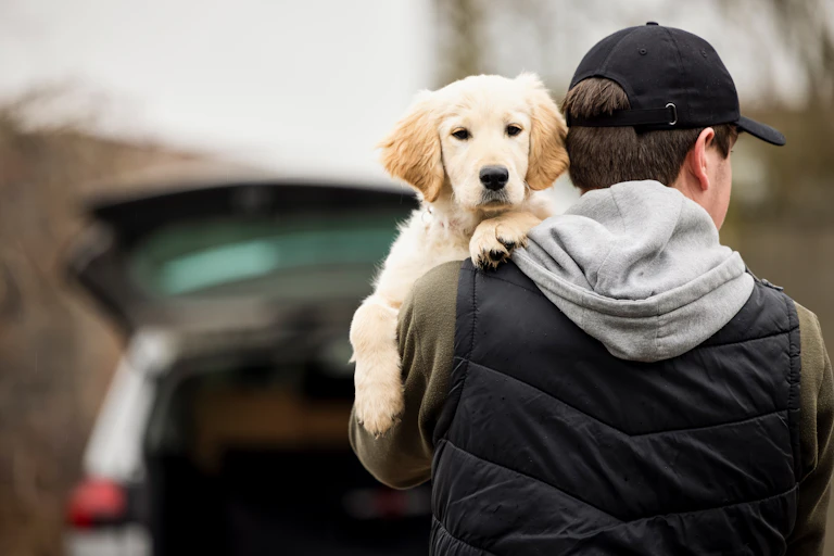 Man stealing a dog