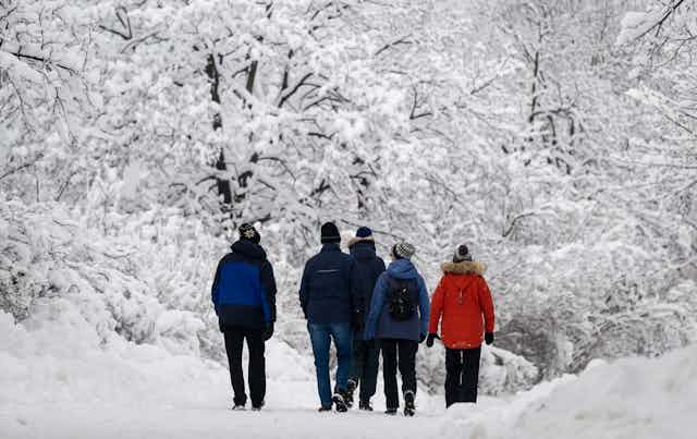 Five people in winter coats and hats seen from behind, walking in the snow