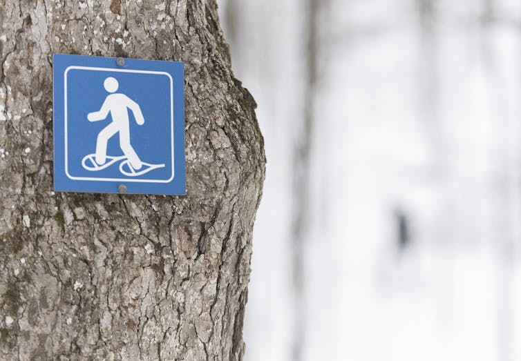 A blue sign picturing a snowshoer on a tree trunk with snow in the background