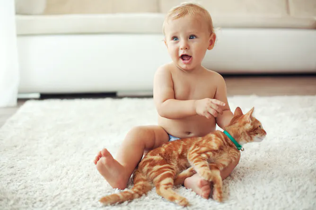 Bayi and seekor kucing