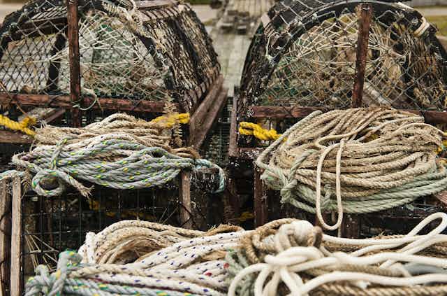Lobster traps and piles of reop on a dock