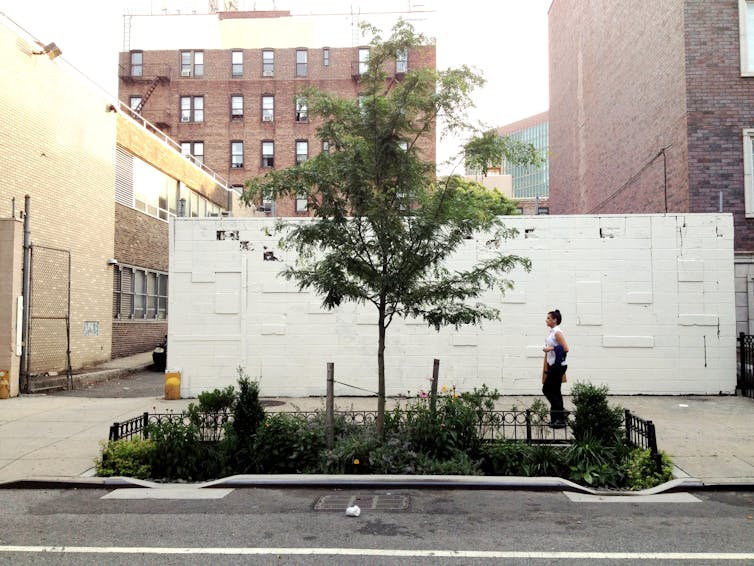 Women walks past a kerbside raingarden