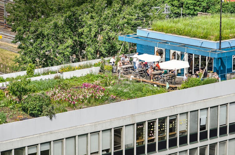 rooftop farm with cafe on top of office block