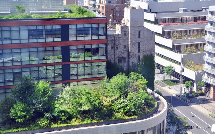 rooftop gardens on multistorey city buildings