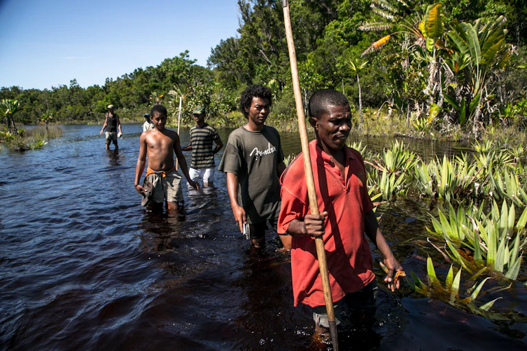 Men holding sticks wading through a river by a forest.