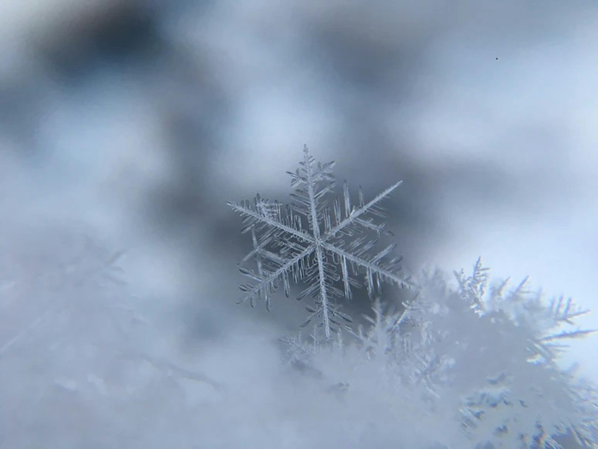 How Do Snowflakes Form? Is Each Snowflake Really Unique? Why Is Some ...