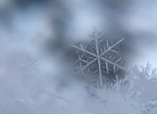 A snowflake seen in close-up.