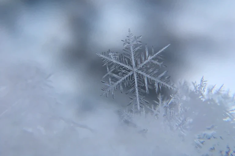 A snowflake seen in close-up.