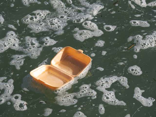 A polystyrene container floating in the surf.