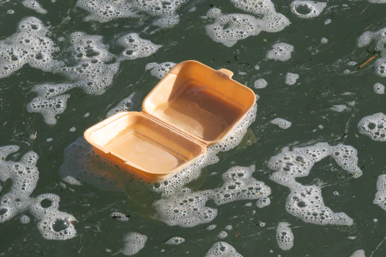 A polystyrene container floating in the surf.