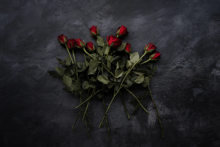 roses on cement