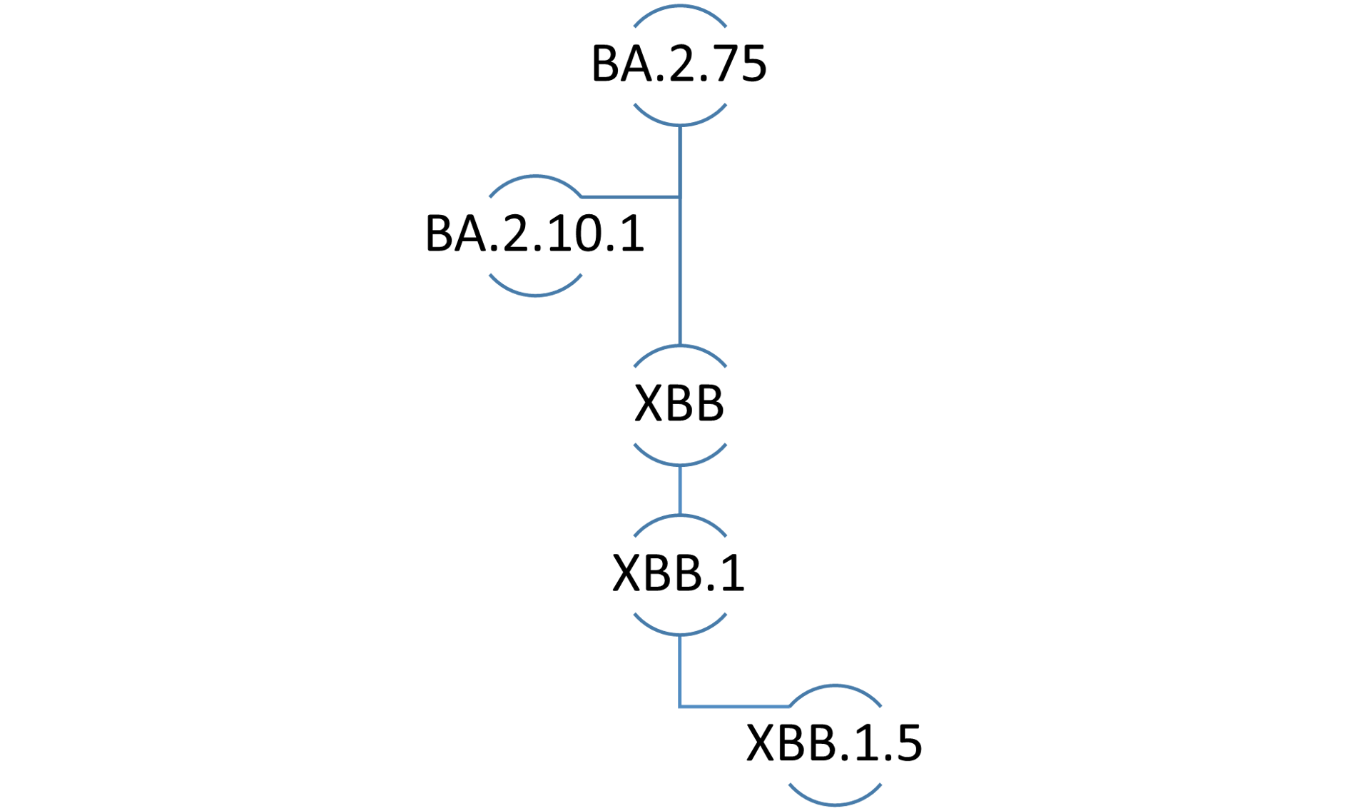 What To Know About XBB 1 5 A New And Highly Transmissible COVID 19   File 20230113 24 Li24wl 