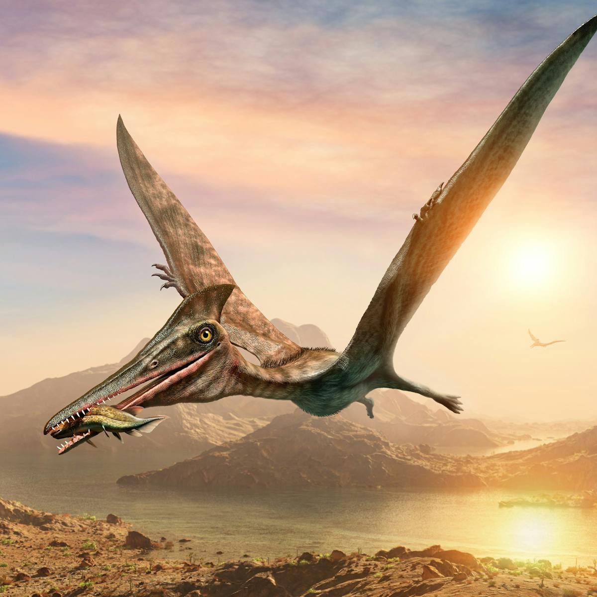 Fossil study brings us one step closer to revealing how 'flying dinosaurs'  took flight